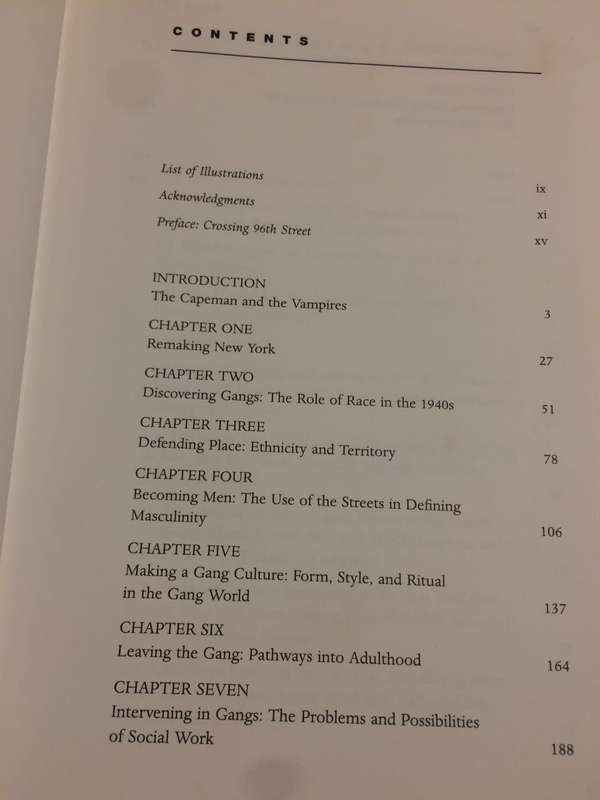 Vampires, Dragons & Egyptian Kings: Youth Gangs in Postwar New York - Eric C Schneider (1999 1st Ed)