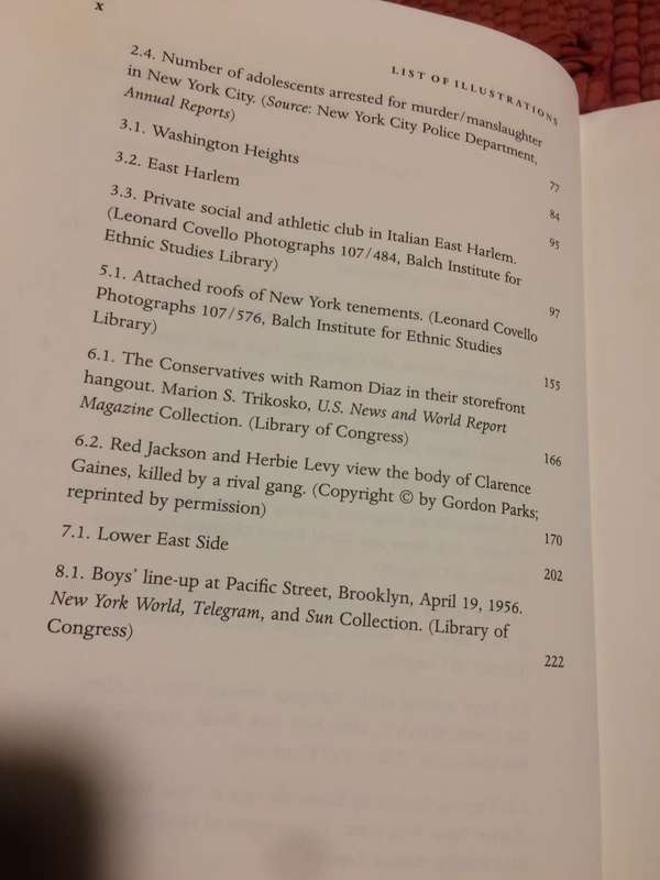 Vampires, Dragons & Egyptian Kings: Youth Gangs in Postwar New York - Eric C Schneider (1999 1st Ed)