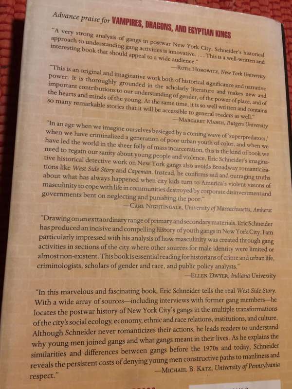 Vampires, Dragons & Egyptian Kings: Youth Gangs in Postwar New York - Eric C Schneider (1999 1st Ed)