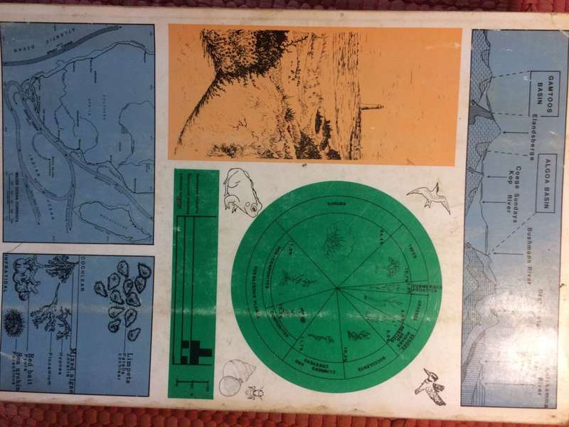 A Field Guide to the Eastern Cape Coast - RA Lubke, FW Gess and MN Bruton SIGNED COPY (1988 1st Ed)