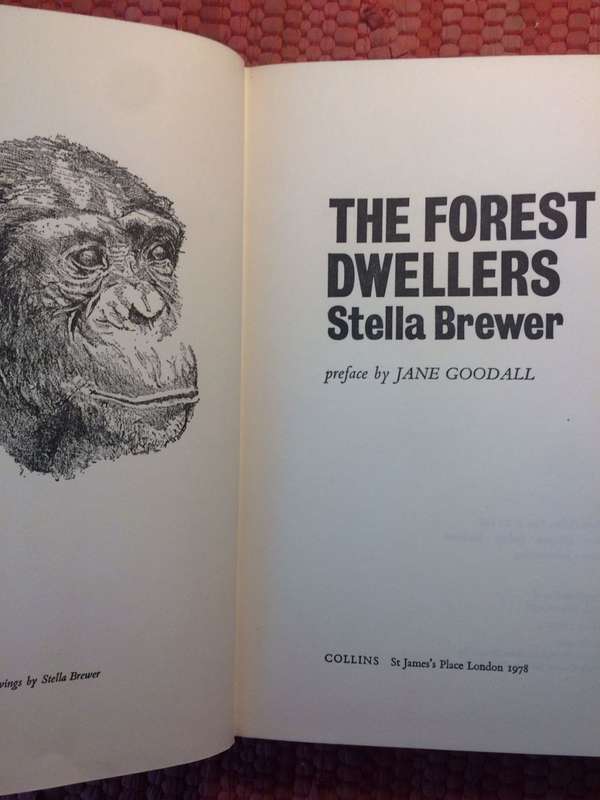 The Forest Dwellers - Stella Brewer (1978 1st Edition Hardcover)