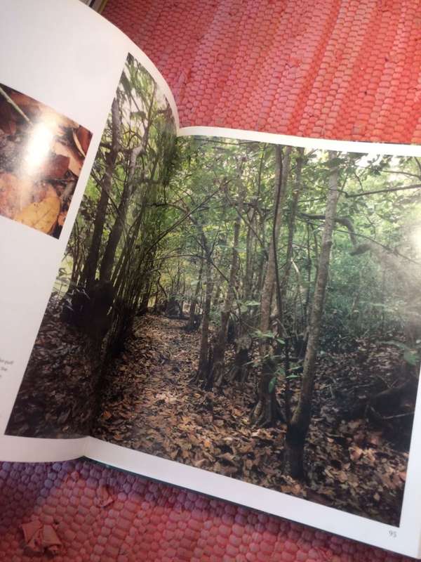 African Trees: A Photographic Exploration - Charles Bryant and Brita Lomba