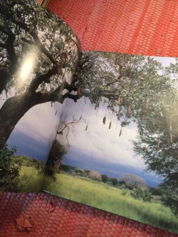 African Trees: A Photographic Exploration - Charles Bryant and Brita Lomba