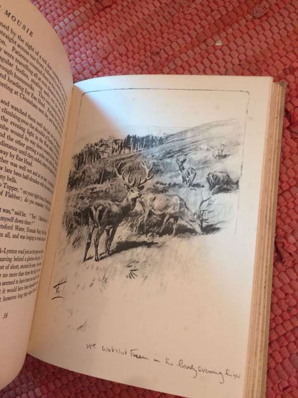 Older Mousie: Further Adventures of this World Famous Pony - Gordon Gorse (1932 Hardcover with DJ)
