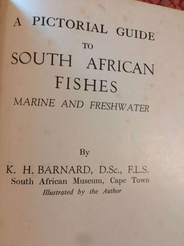 South African Fishes - KH Barnard