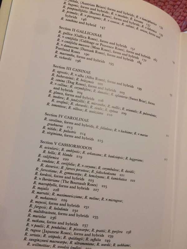 Classic Roses: An Illustrated Encyclopaedia and Growers Manual - Peter Beales (1985 1st Edition)