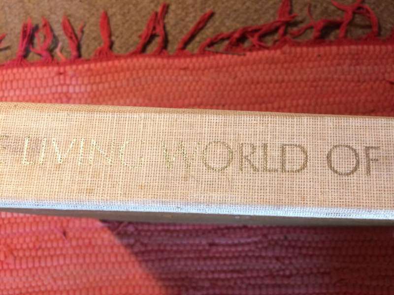 The Living World Of Animals (Readers Digest 1st Edition)