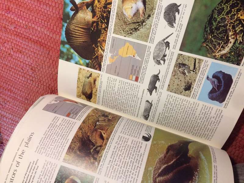 The Living World Of Animals (Readers Digest 1st Edition)