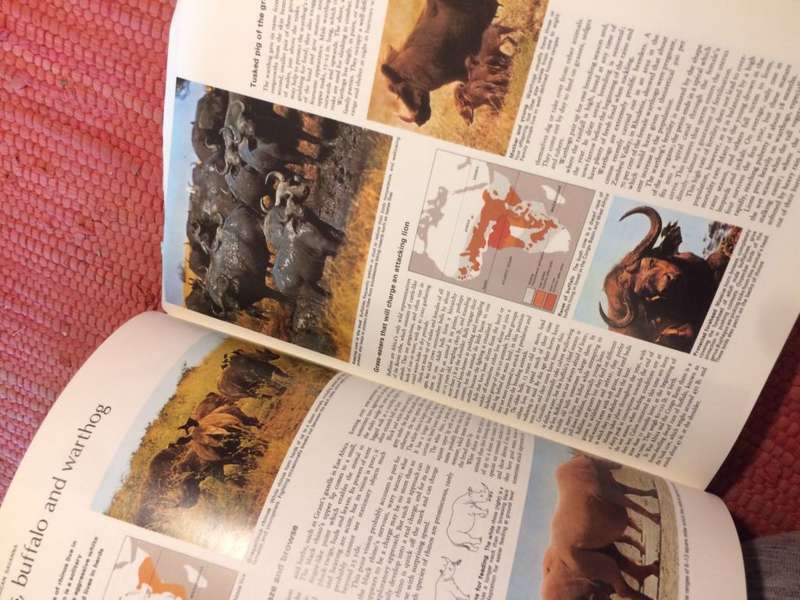 The Living World Of Animals (Readers Digest 1st Edition)