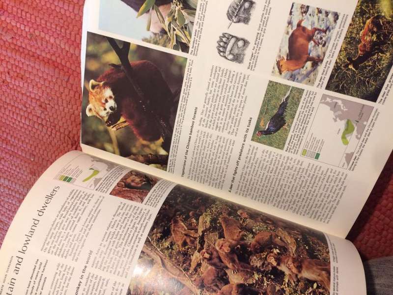 The Living World Of Animals (Readers Digest 1st Edition)