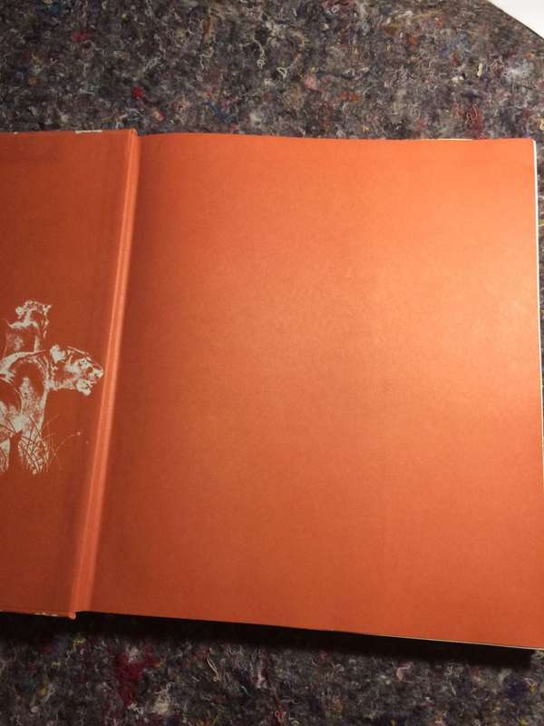In the Wild - Sue Hart & Leigh Voigt (1974 1st Edition Hardcover RARE)