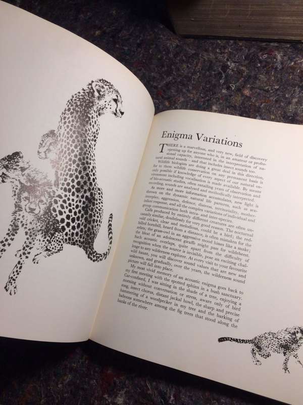 In the Wild - Sue Hart & Leigh Voigt (1974 1st Edition Hardcover RARE)
