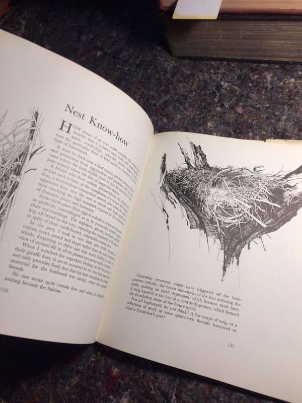 In the Wild - Sue Hart & Leigh Voigt (1974 1st Edition Hardcover RARE)