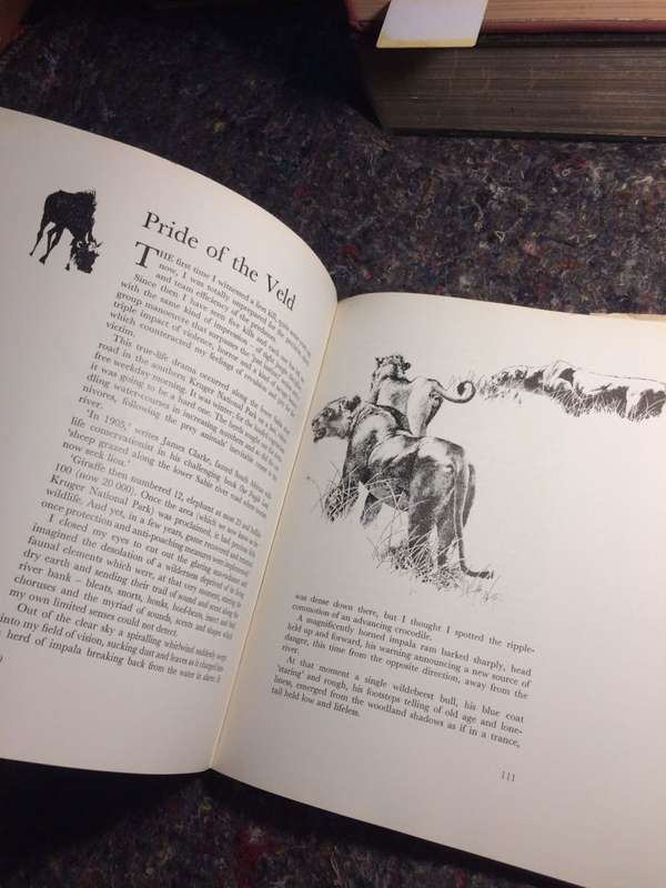 In the Wild - Sue Hart & Leigh Voigt (1974 1st Edition Hardcover RARE)