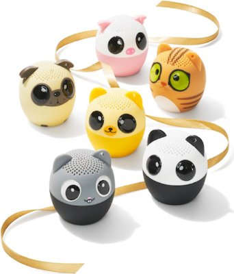 Bluetooth Speaker