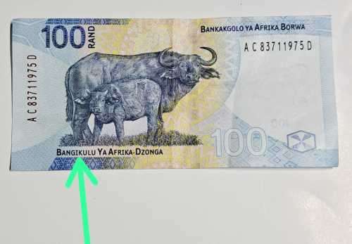 THE NEW R100 BANKNOTE SA RESERVE BANK ( SARB ) **SPELLING-ERROR -NOTE ** WITH BUFFALO HEAD.WATERMARK