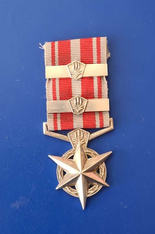 SAPS MEDAL FOR COMBATING TERRORISM - FULL SIZE