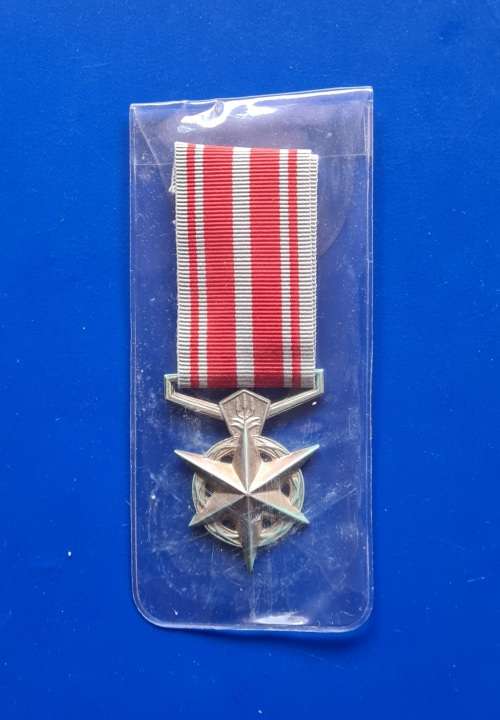 SAPS - MEDAL FOR COMBATING TERRORISM - FULL SIZE