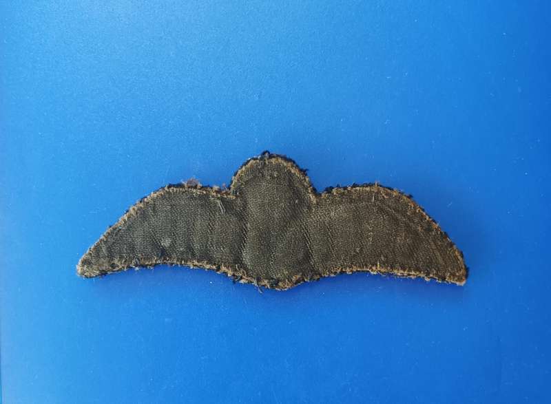 WW2 - RAF WINGS - PADDED
