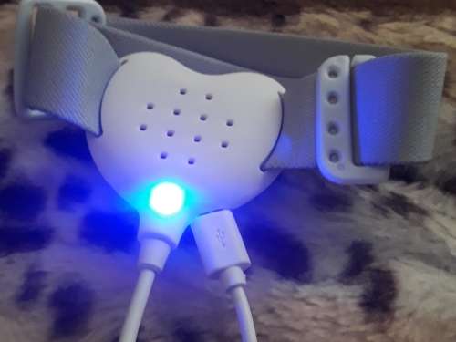 Rechargeable Bed Wetting ( Enuresis ) Alarm for Children and Adults