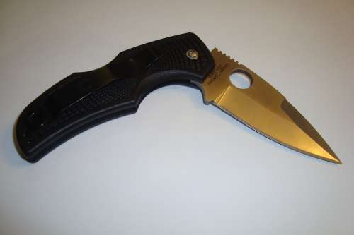 Spyderco Merlin C08SBK