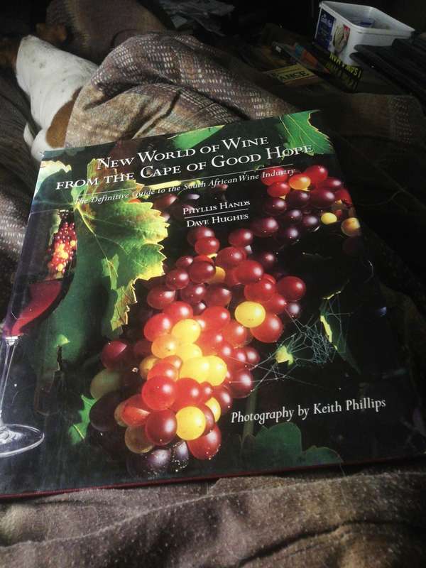 New World of Wine From The Cape of Good Hope