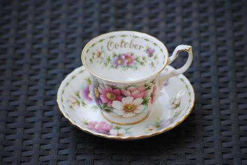 Royal Albert Flower of the Month October Cosmos Tea Duo