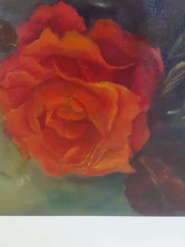 ROSES IN GARDEN BY SUSAN BAM