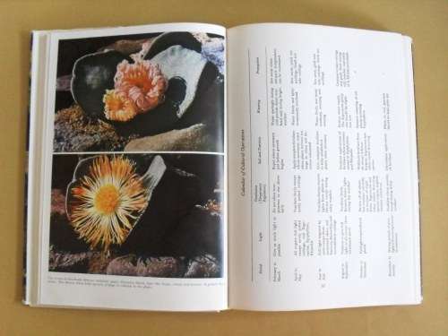 Cacti and Succulents - A Practical Handbook, Walther Haage