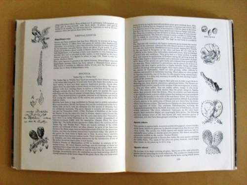 Cacti and Succulents - A Practical Handbook, Walther Haage