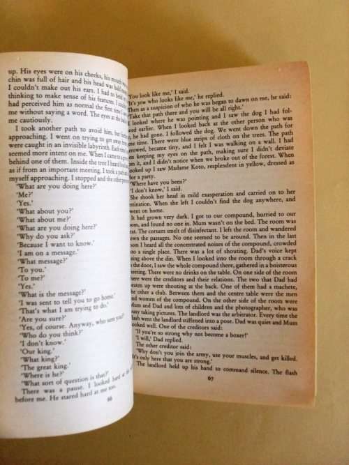 The Famished Road, Ben Okri