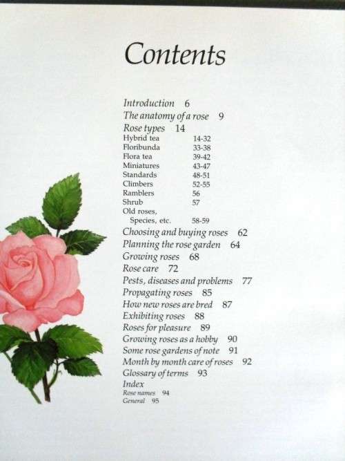 Rose Growing in South Africa, Zoë Gilbert