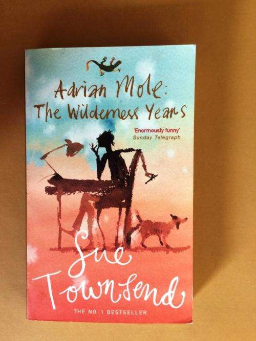Adrian Mole: The Wilderness Years, Sue Townsend