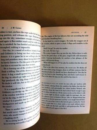 Boyhood: A Memoir, J.M. Coetzee