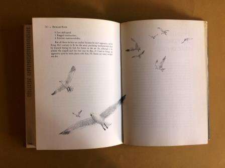 A Gift of Wings, Richard Bach