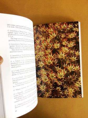 The Protea Growers Handbook, Lewis Matthews
