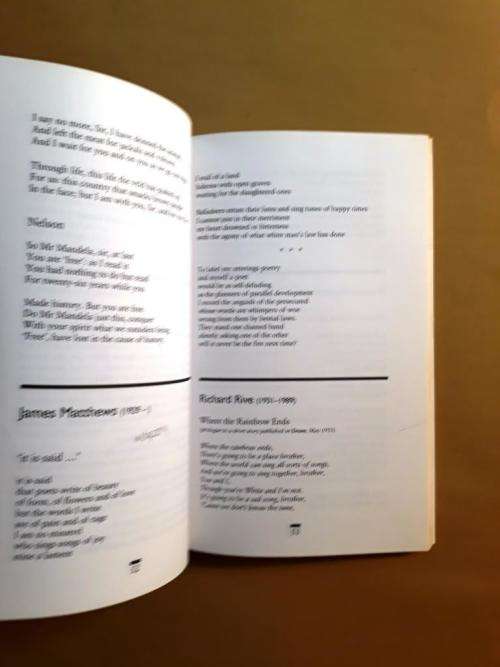 Broken Strings - The Politics of Poetry in South Africa, ed. Finn/Gray