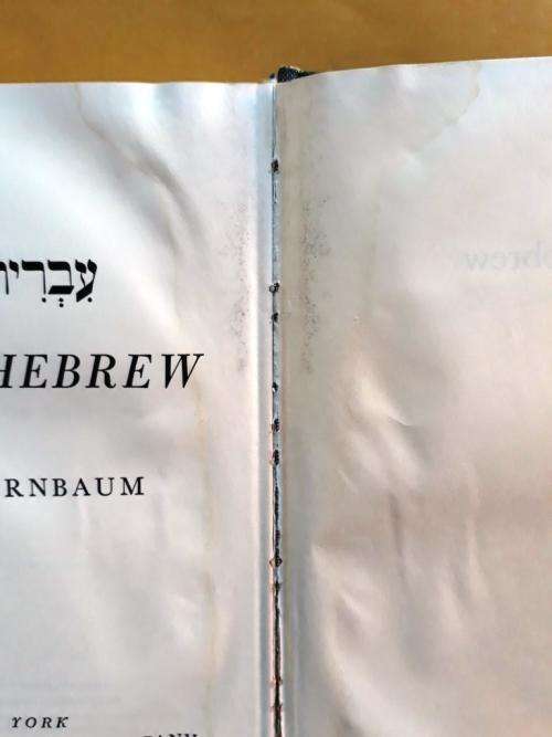 Fluent Hebrew, Philip Birnbaum