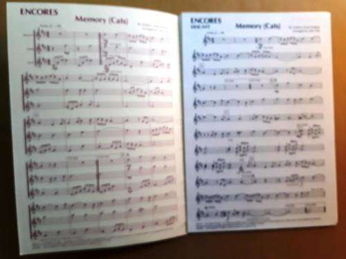 Memory/Don`t Cry for me Argentina, arr. John Pitts, for recorder trio (score and parts)