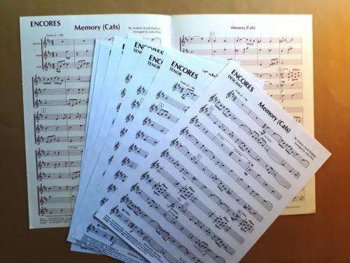 Memory/Don`t Cry for me Argentina, arr. John Pitts, for recorder trio (score and parts)