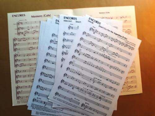 Memory/Don`t Cry for me Argentina, arr. John Pitts, for recorder trio (score and parts)
