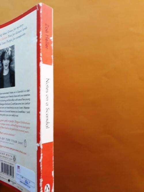 Notes on a Scandal, Zoë Heller