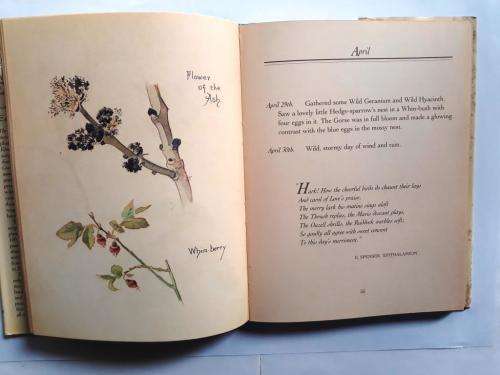 The Nature Notes of an Edwardian Lady, Edith Holden
