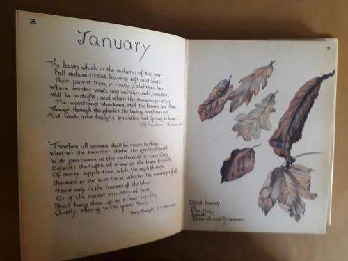 The Country Diary of an Edwardian Lady, Edith Holden