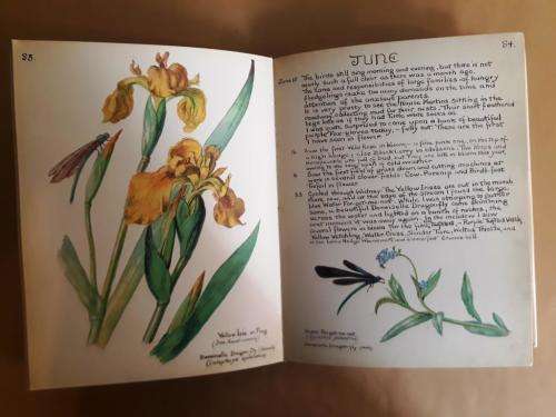 The Country Diary of an Edwardian Lady, Edith Holden