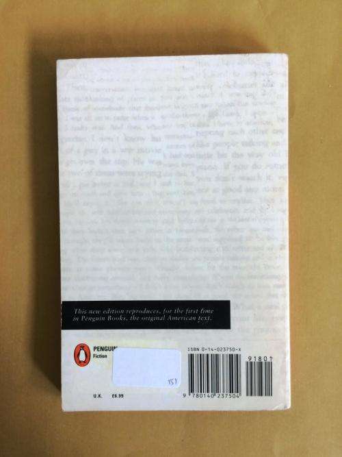 The Catcher in The Rye, Salinger