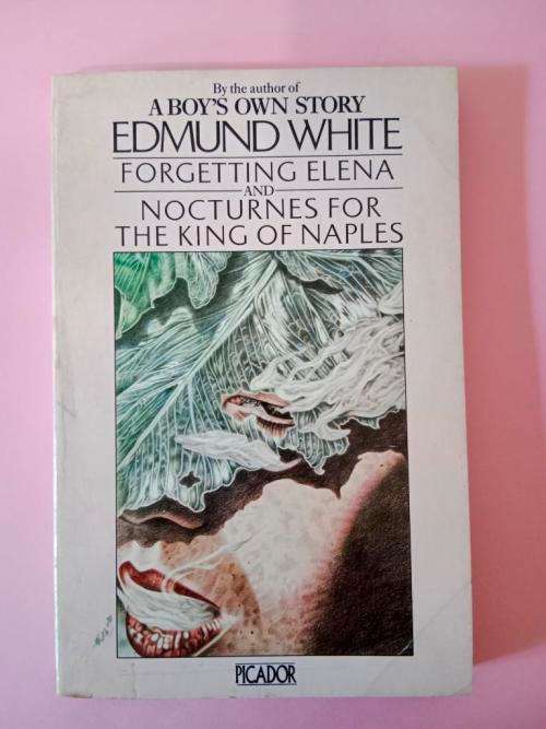 Forgetting Elena and Nocturnes for the King of Naples, Edmund White