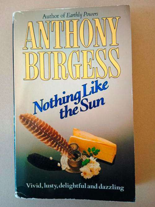 Nothing Like the Sun -  A Story of Shakespeare`s Love-Life, Anthony Burgess