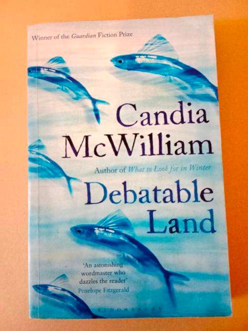 Debatable Land, Candia McWilliam