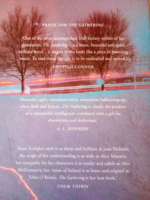 The Forgotten Waltz, Anne Enright